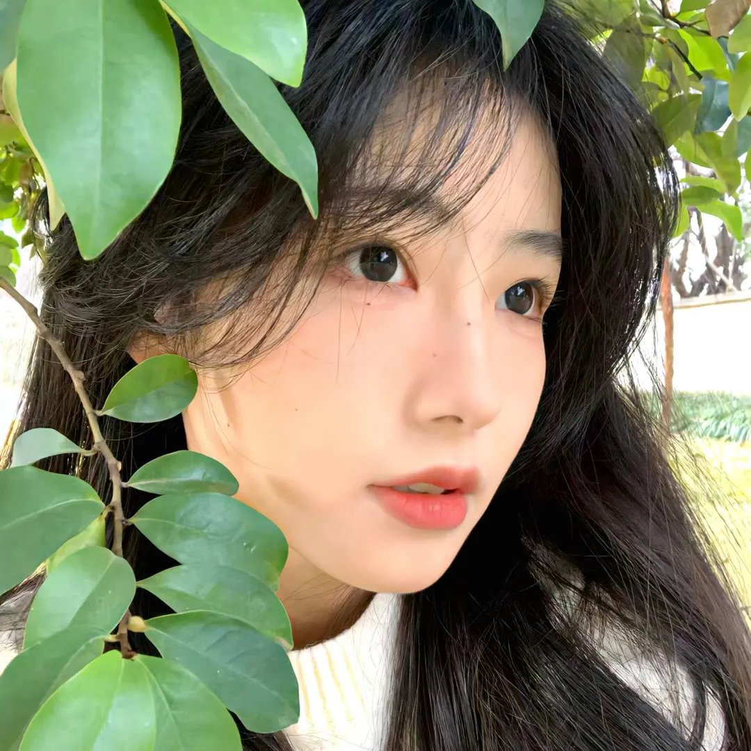 偶像选拔
